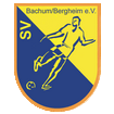 bachum-logo